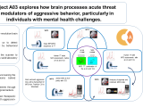 A research infographic titled 'Project A03 explores how brain processes acute threat as modulators of aggressive behavior, particularly in individuals with mental health challenges.' The infographic is divided into multiple sections. On the left, a 'Cutting-Edge Science' section highlights key points about 7 Tesla fMRI imaging, 7 Tesla MR spectra for detecting neurotransmitter changes, and using online scenarios for studying anger responses. Below it, the 'Why It Matters' section explains the significance of the research in advancing mental health treatments. The right side of the infographic contains a flowchart with labeled sections (WP1, WP2, WP3, WP4) detailing the study's methodology, including human and animal MRI scans, experimental conditions (acute threat vs. safe context), and analysis processes. The design incorporates text, icons, MRI scan illustrations, and graphs showing brain data.
